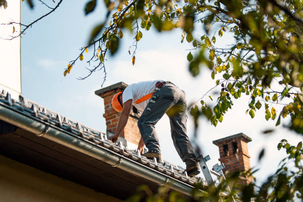 Best Roof Waterproofing Services  in Mabscott, WV