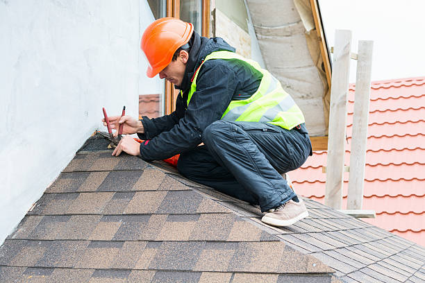 Best Roof Leak Repair  in Mabscott, WV